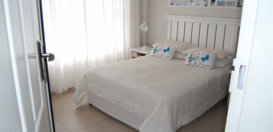 Pet friendly – Marlin Park to rent
