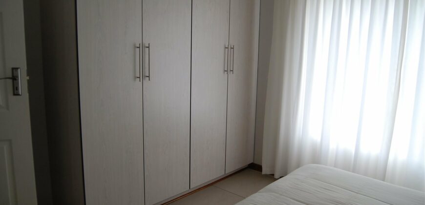 Pet friendly – Marlin Park to rent