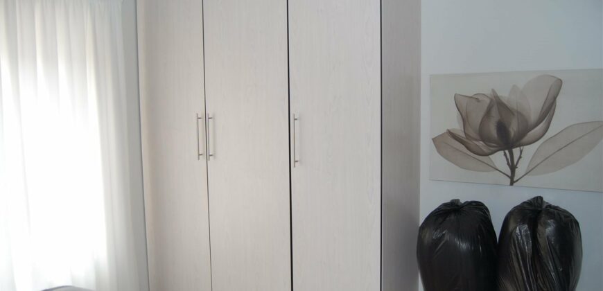 Pet friendly – Marlin Park to rent