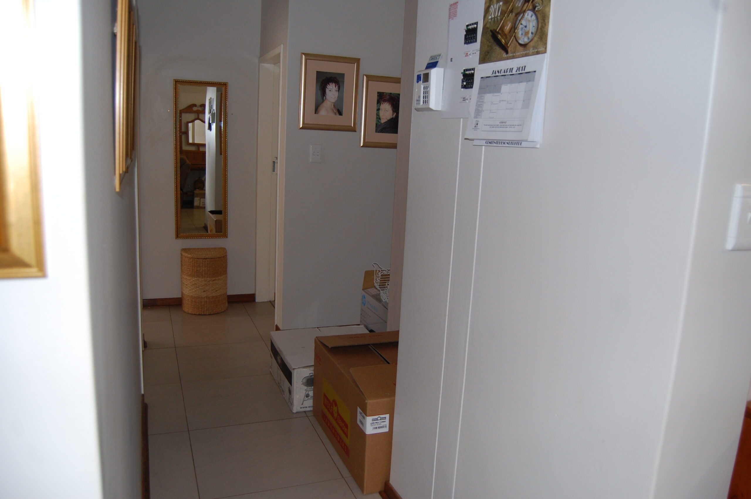 Pet friendly – Marlin Park to rent