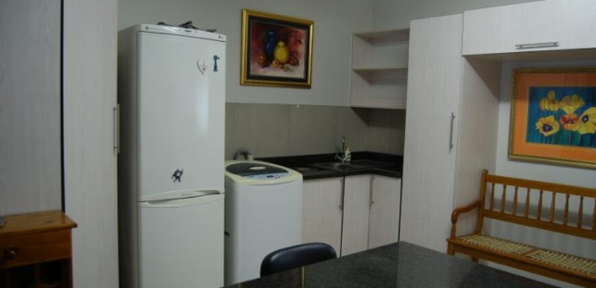 Pet friendly – Marlin Park to rent